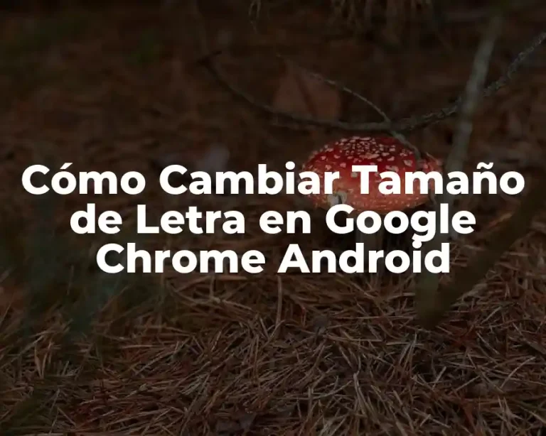 Cómo Cambiar Tamaño de Letra en Google Chrome Android