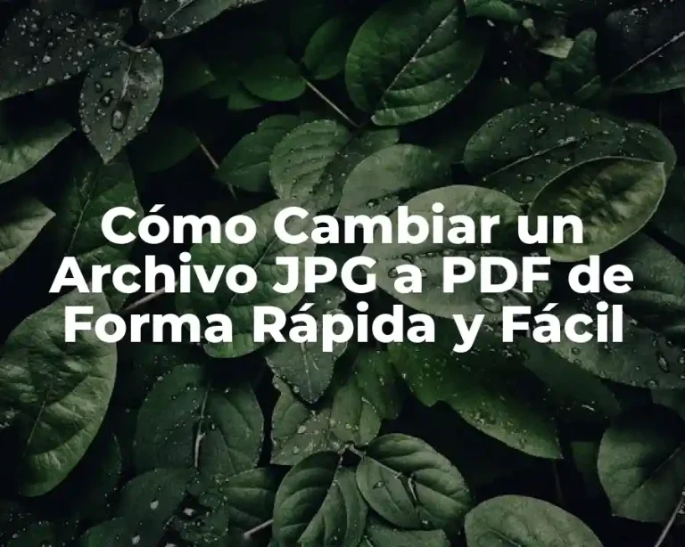 Cómo Cambiar un Archivo JPG a PDF de Forma Rápida y Fácil