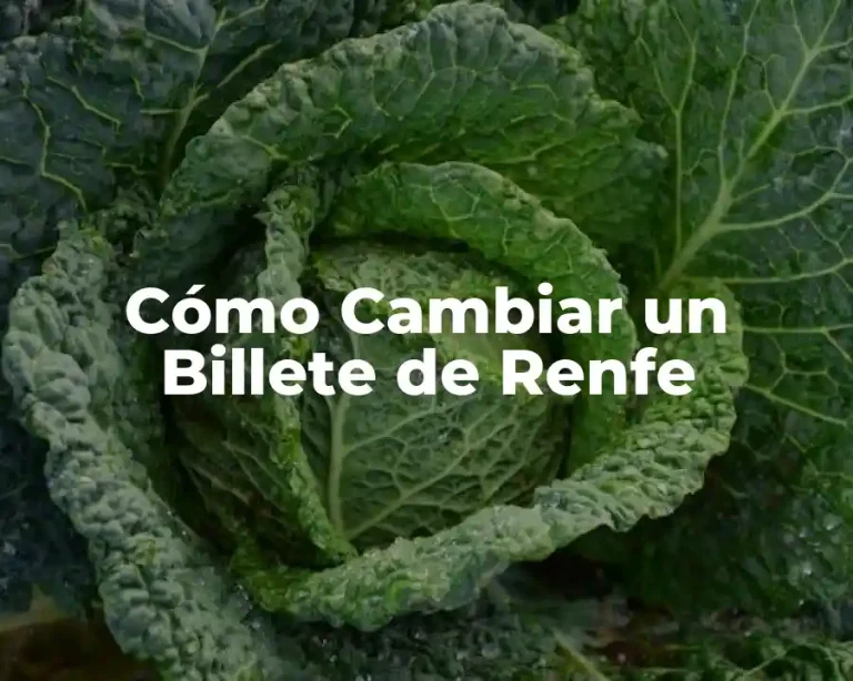 Cómo Cambiar un Billete de Renfe