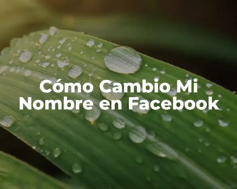 Cómo Cambio Mi Nombre en Facebook