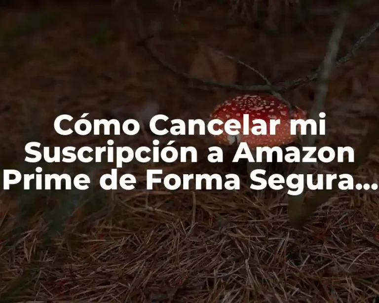 Cómo Cancelar mi Suscripción a Amazon Prime de Forma Segura y Rápida