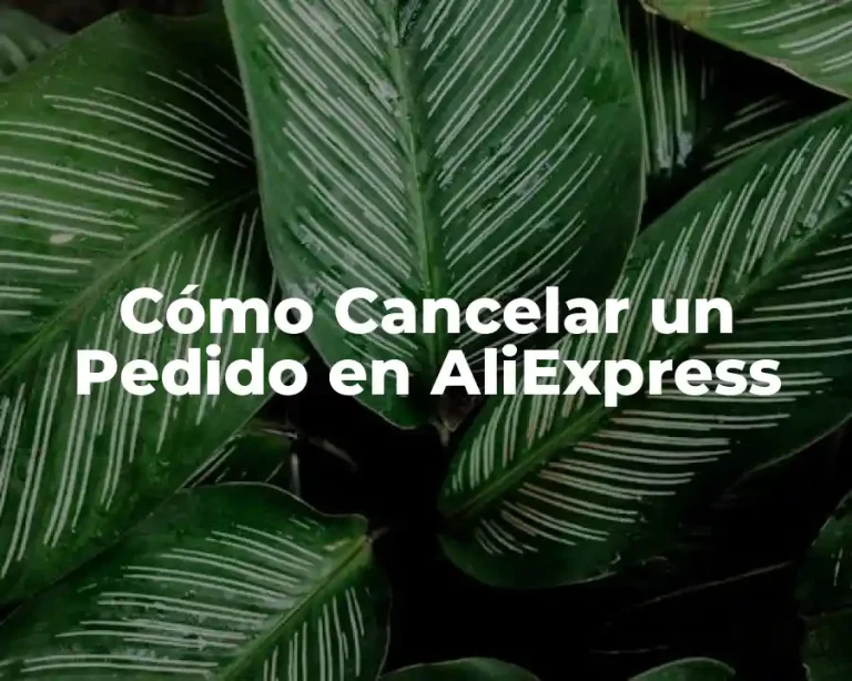 Cómo Cancelar un Pedido en AliExpress