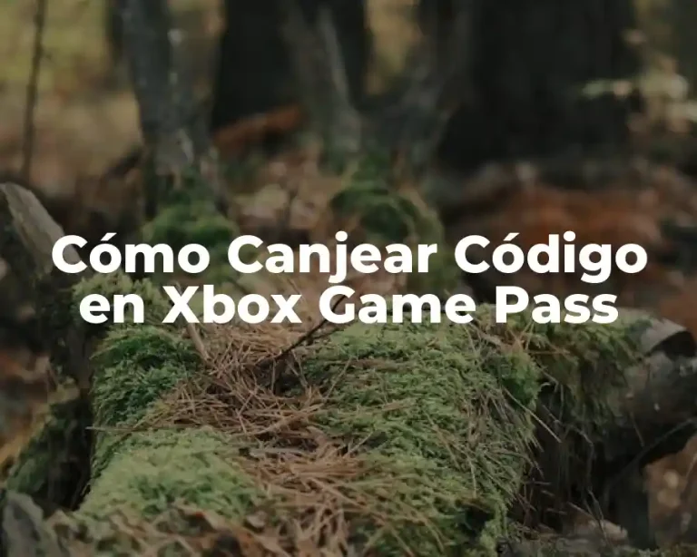 Cómo Canjear Código en Xbox Game Pass