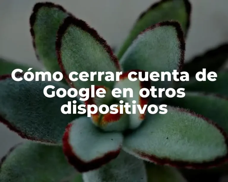Cómo cerrar cuenta de Google en otros dispositivos