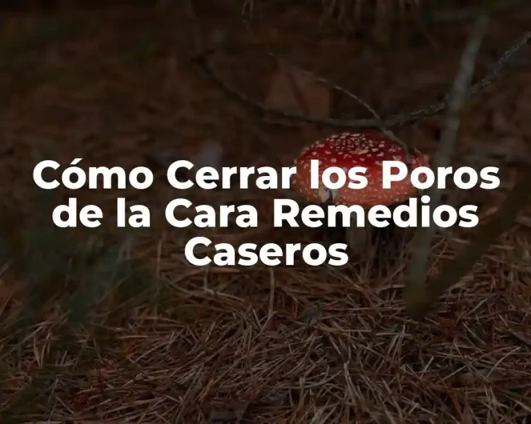 Cómo Cerrar los Poros de la Cara Remedios Caseros