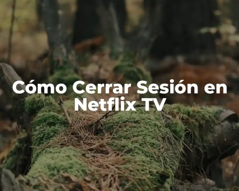 Cómo Cerrar Sesión en Netflix TV