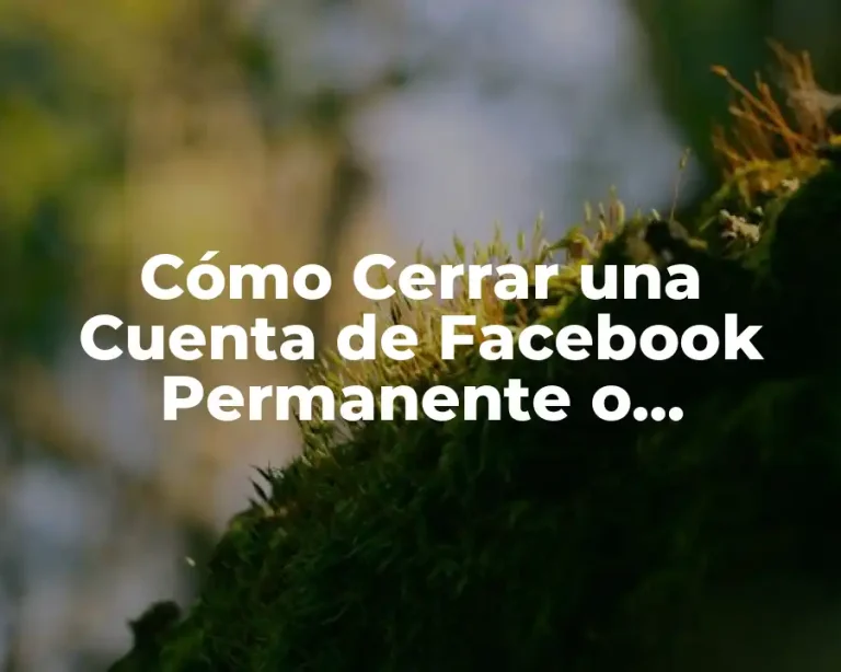 Cómo Cerrar una Cuenta de Facebook Permanente o Temporalmente