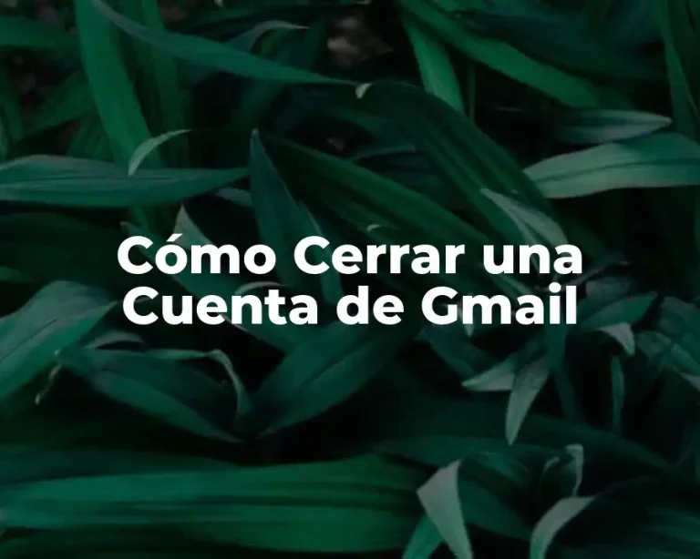 Cómo Cerrar una Cuenta de Gmail