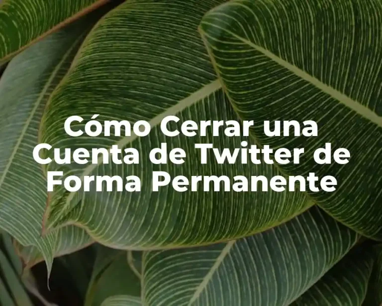 Cómo Cerrar una Cuenta de Twitter de Forma Permanente
