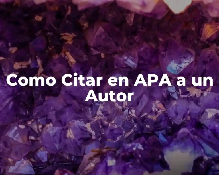 Como Citar en APA a un Autor