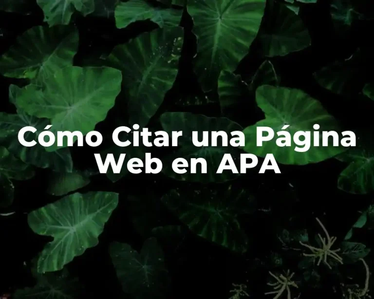 Cómo Citar una Página Web en APA