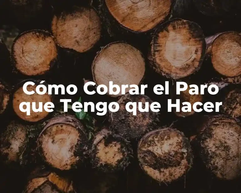 Cómo Cobrar el Paro que Tengo que Hacer