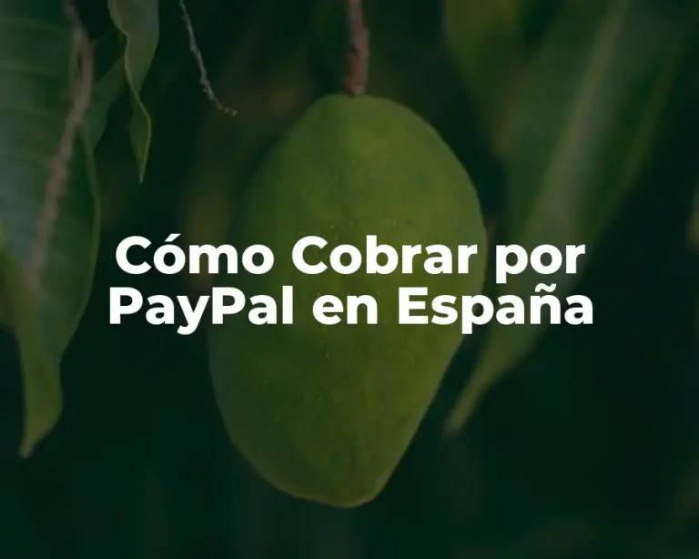 Cómo Cobrar por PayPal en España