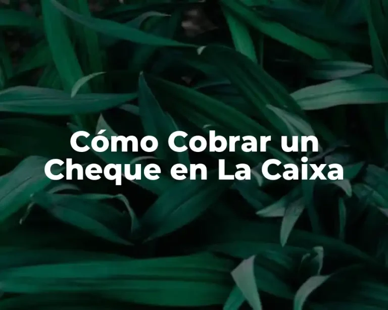 Cómo Cobrar un Cheque en La Caixa