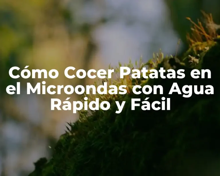 Cómo Cocer Patatas en el Microondas con Agua Rápido y Fácil