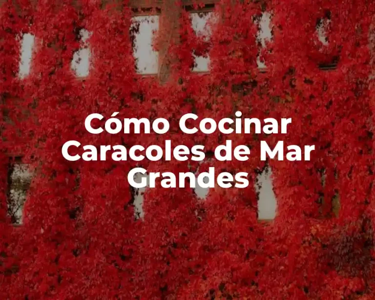 Cómo Cocinar Caracoles de Mar Grandes