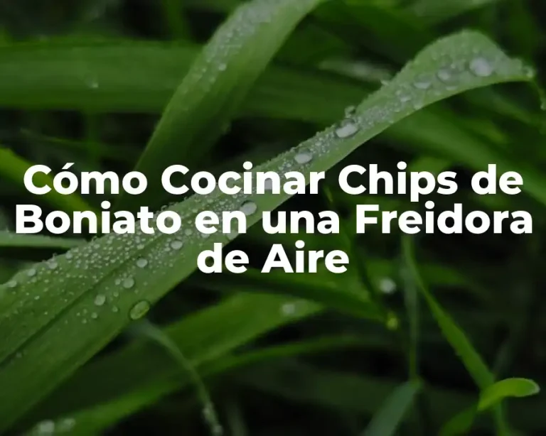 Cómo Cocinar Chips de Boniato en una Freidora de Aire