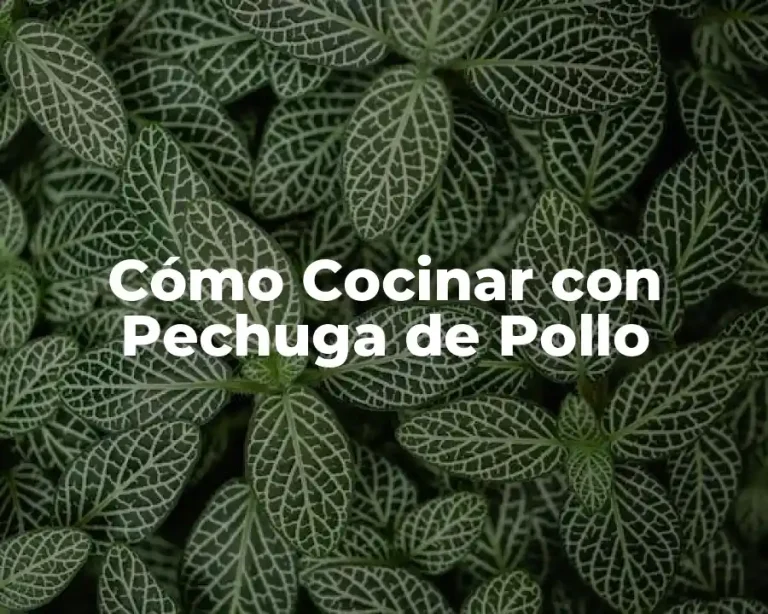 Cómo Cocinar con Pechuga de Pollo