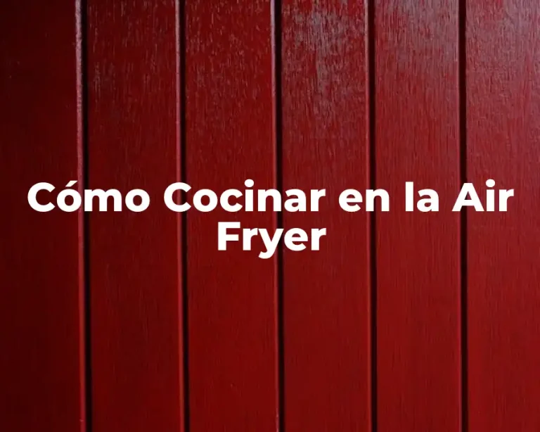 Cómo Cocinar en la Air Fryer