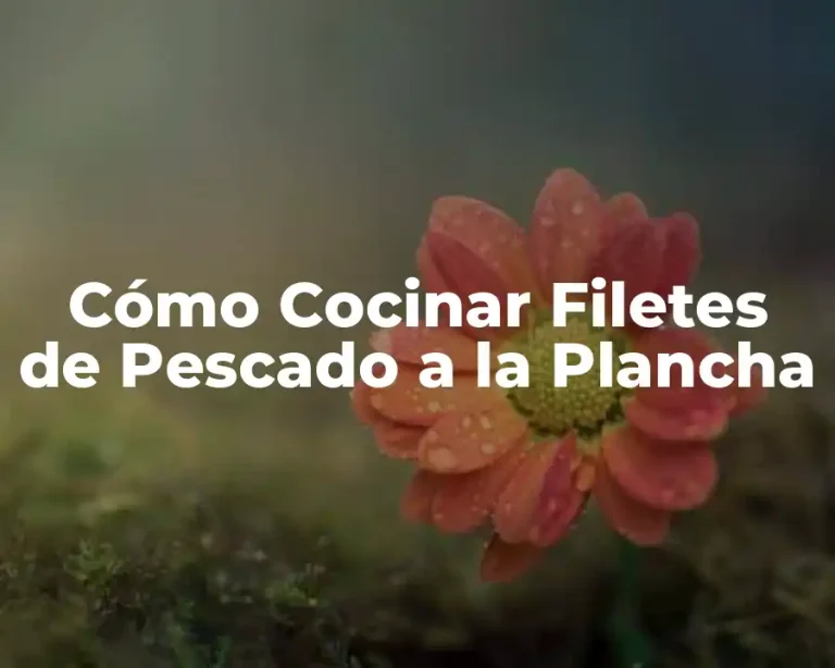 Cómo Cocinar Filetes de Pescado a la Plancha