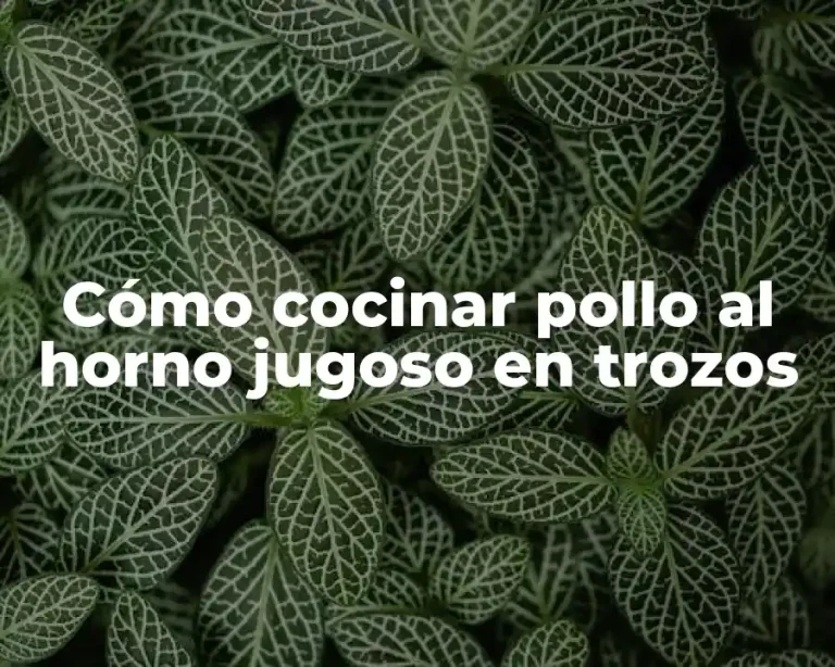 Cómo cocinar pollo al horno jugoso en trozos
