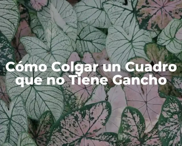 Cómo Colgar un Cuadro que no Tiene Gancho