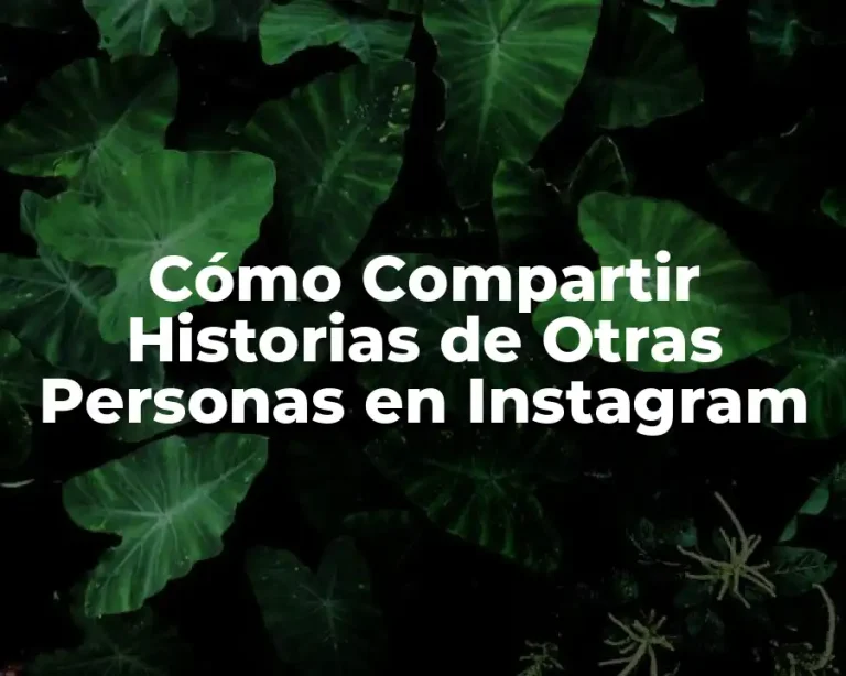 Cómo Compartir Historias de Otras Personas en Instagram