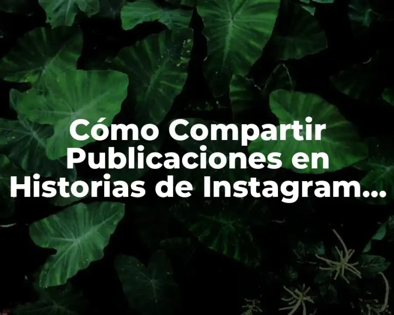 Cómo Compartir Publicaciones en Historias de Instagram de Forma Efectiva