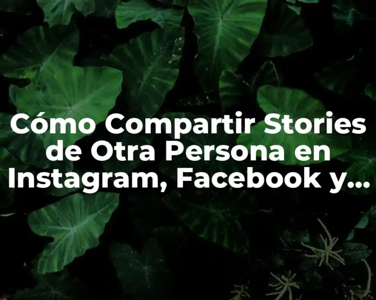 Cómo Compartir Stories de Otra Persona en Instagram, Facebook y Más