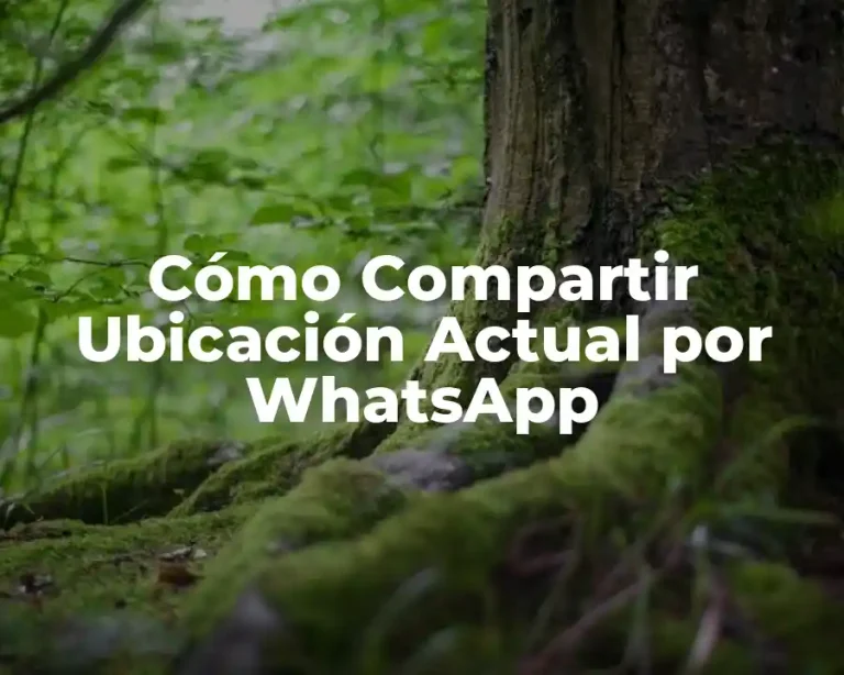 Cómo Compartir Ubicación Actual por WhatsApp