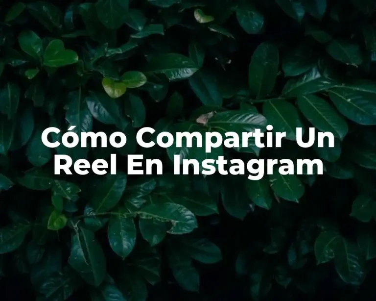 Cómo Compartir Un Reel En Instagram