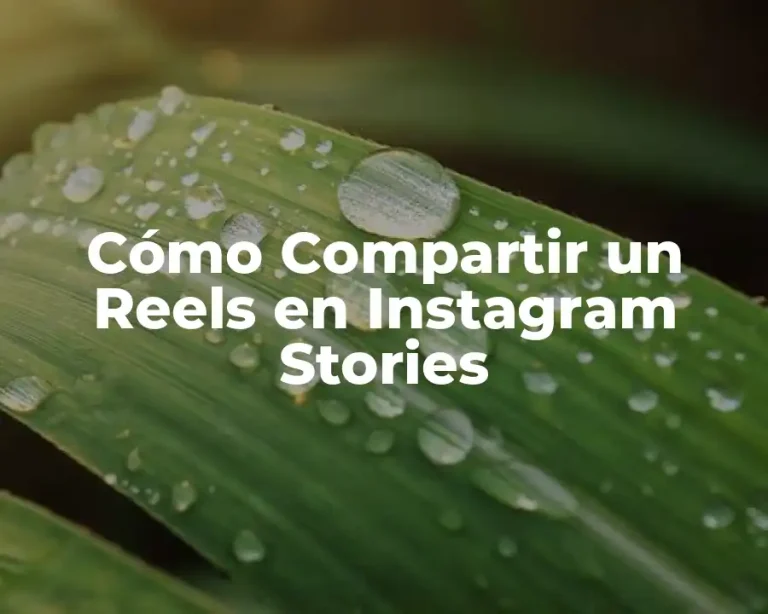 Cómo Compartir un Reels en Instagram Stories
