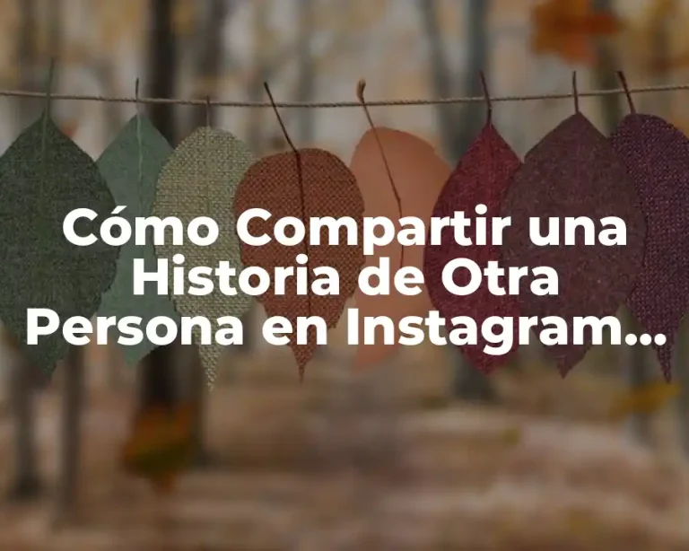 Cómo Compartir una Historia de Otra Persona en Instagram en iPhone