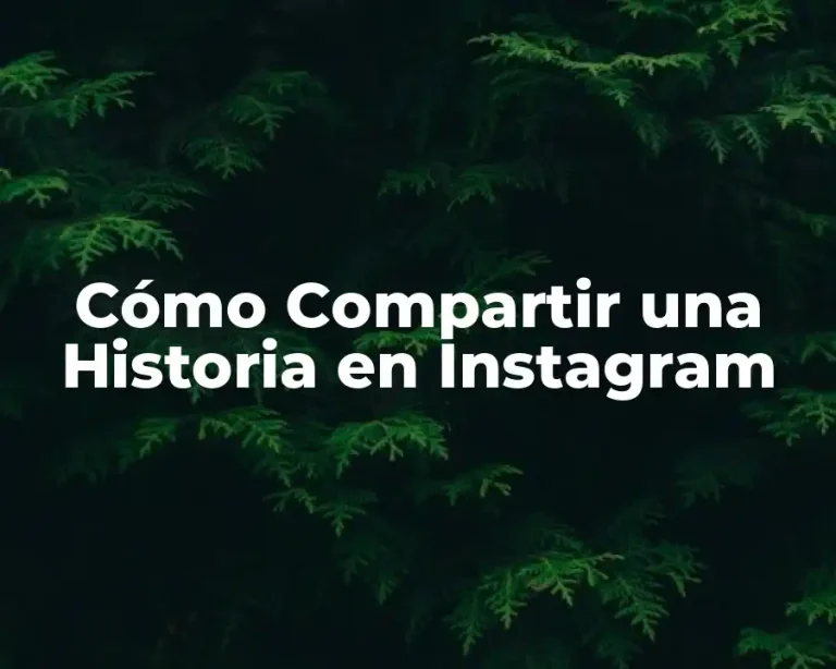 Cómo Compartir una Historia en Instagram