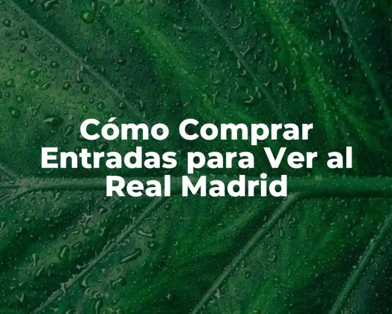 Cómo Comprar Entradas para Ver al Real Madrid