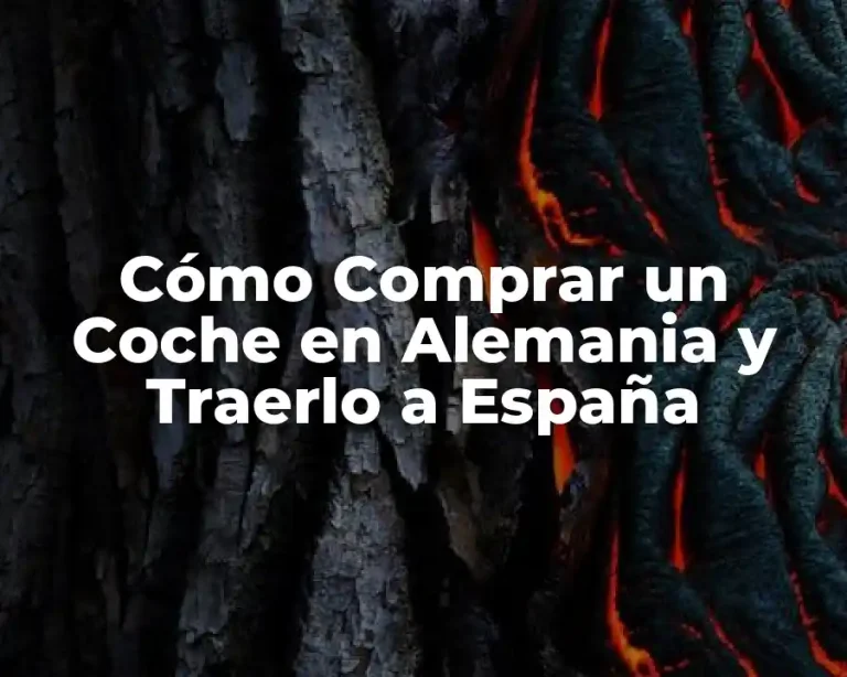 Cómo Comprar un Coche en Alemania y Traerlo a España