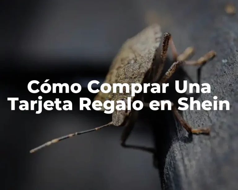 Cómo Comprar Una Tarjeta Regalo en Shein
