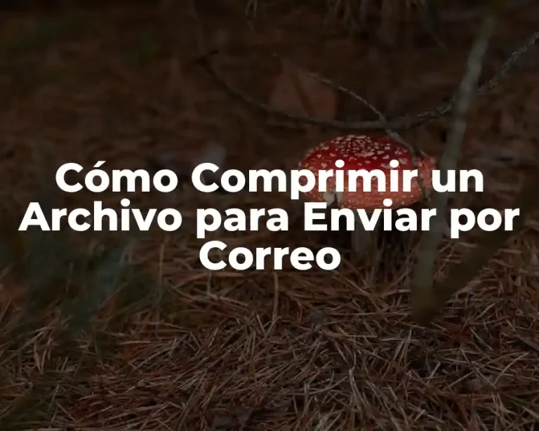 Cómo Comprimir un Archivo para Enviar por Correo
