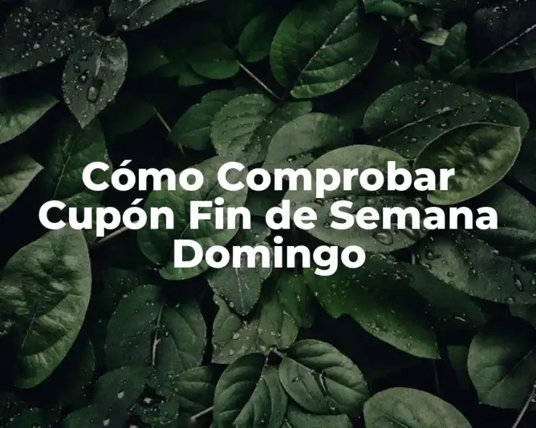 Cómo Comprobar Cupón Fin de Semana Domingo