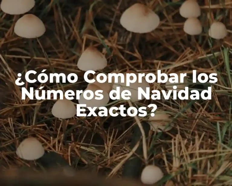 ¿Cómo Comprobar los Números de Navidad Exactos?