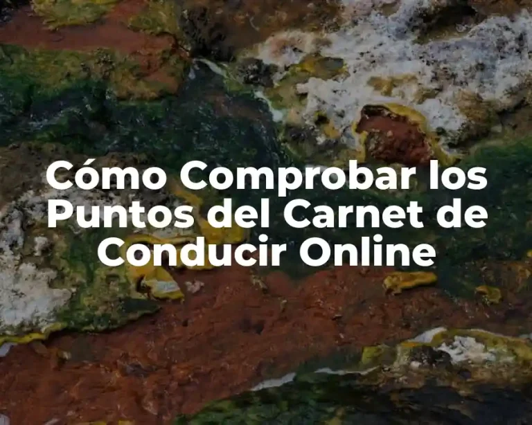 Cómo Comprobar los Puntos del Carnet de Conducir Online
