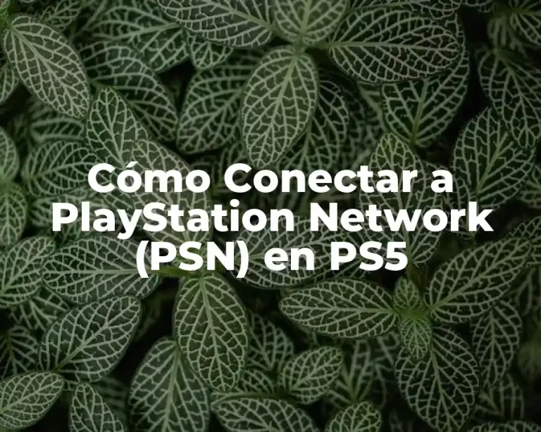 Cómo Conectar a PlayStation Network (PSN) en PS5