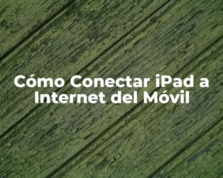 Cómo Conectar iPad a Internet del Móvil