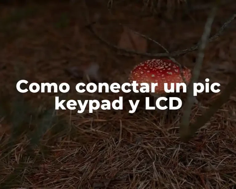Como conectar un pic keypad y LCD
