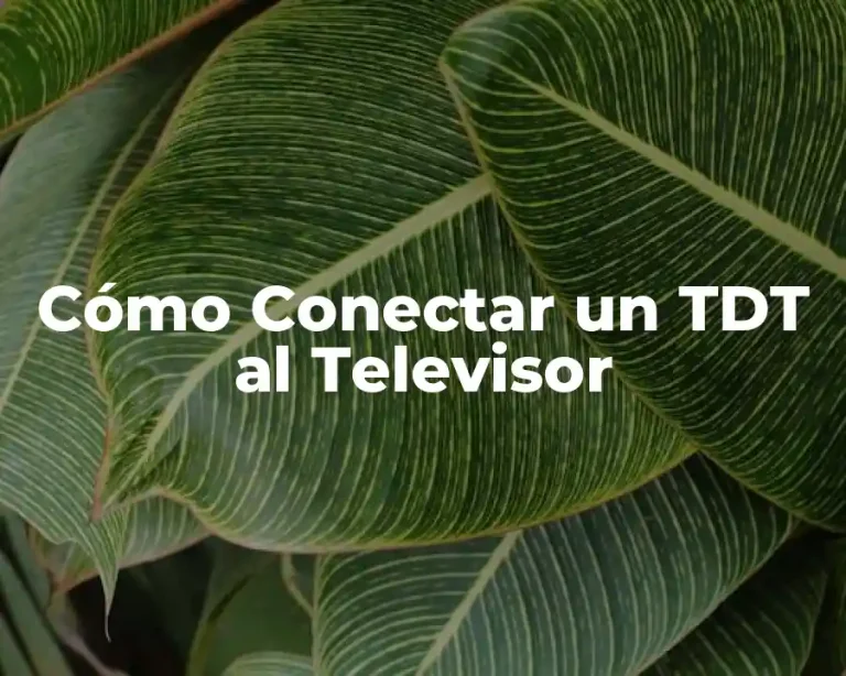 Cómo Conectar un TDT al Televisor