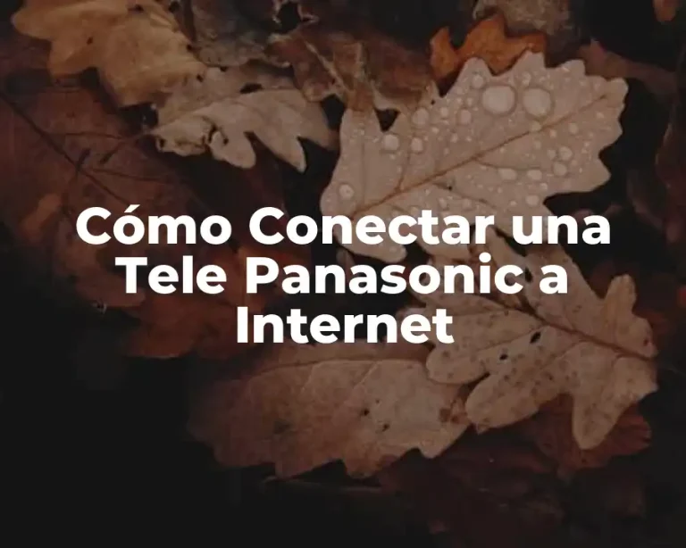 Cómo Conectar una Tele Panasonic a Internet