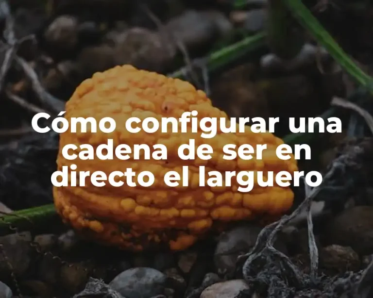 Cómo configurar una cadena de ser en directo el larguero