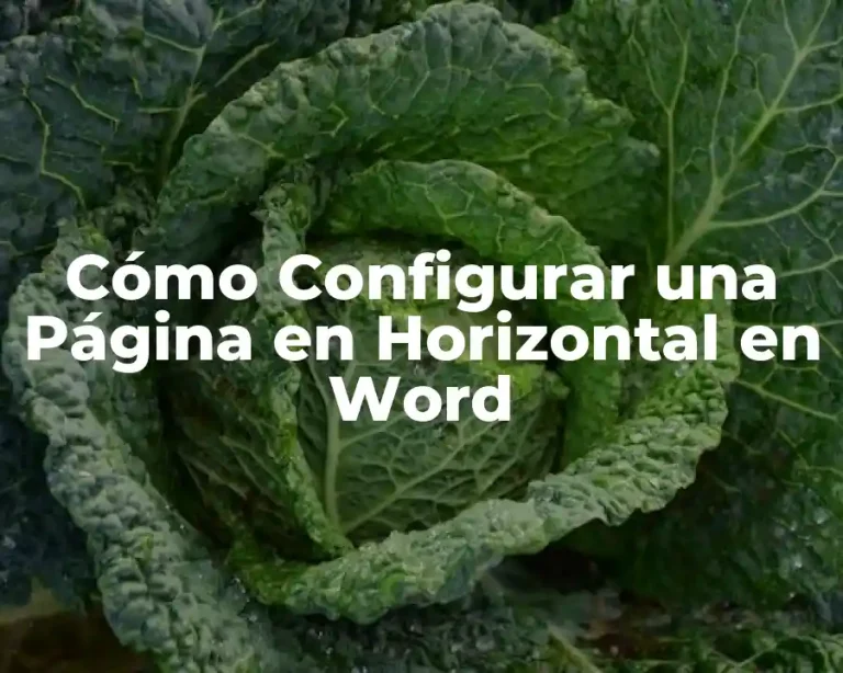 Cómo Configurar una Página en Horizontal en Word