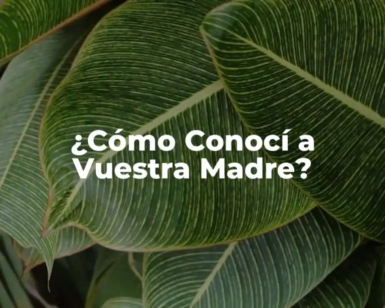 ¿Cómo Conocí a Vuestra Madre?
