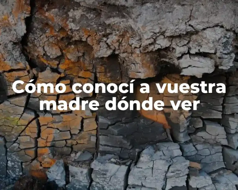 Cómo conocí a vuestra madre dónde ver